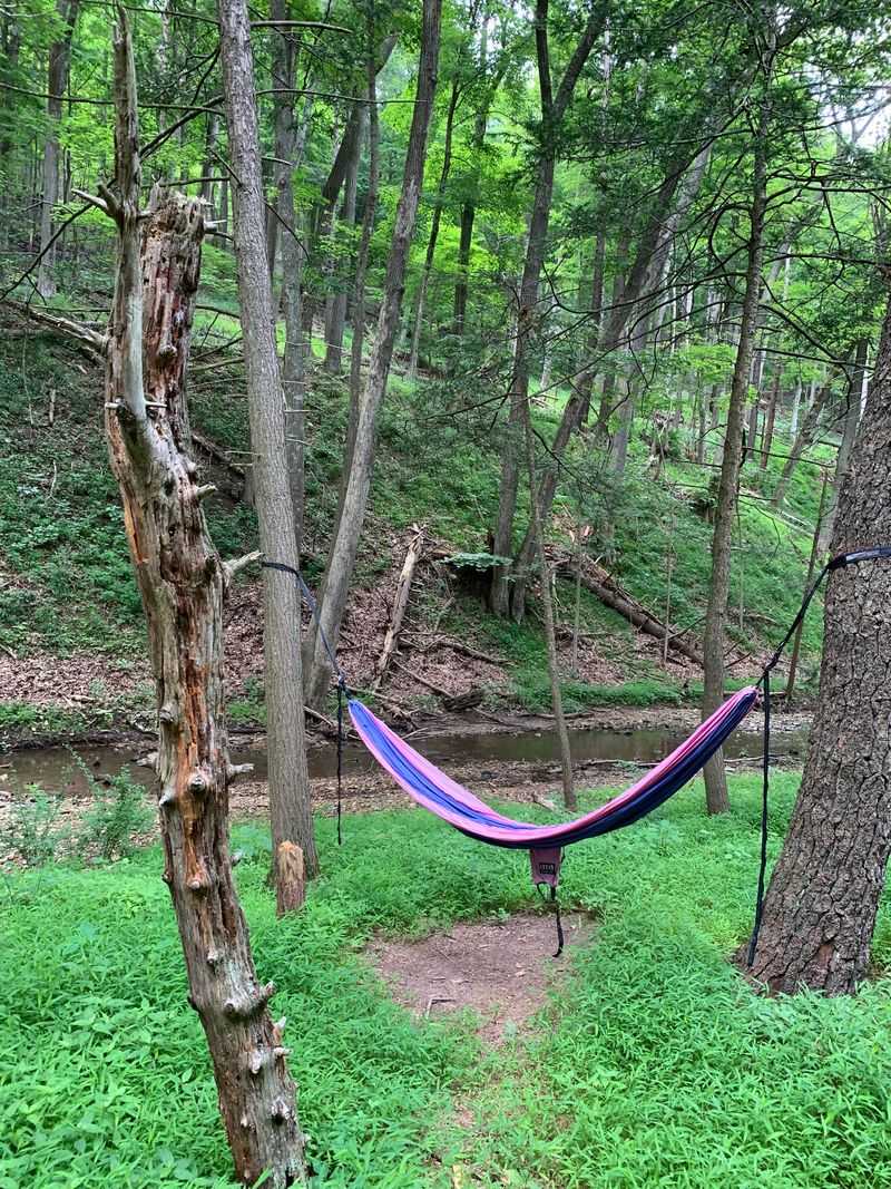 Digital Detox, With A Safety Net