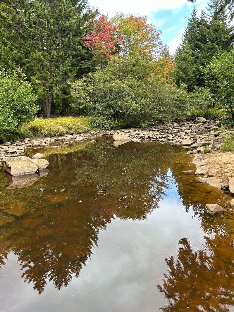 Blackwater River: Meanders, Moods, And Morning Mist