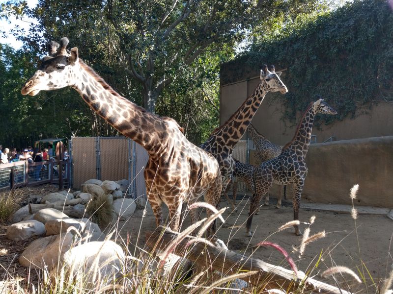 Old Zoo Picnic Nooks
