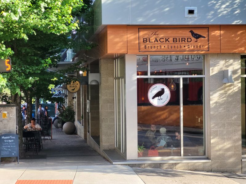The Blackbird Restaurant — Asheville
