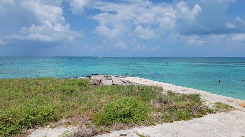 Frigatebirds and Pelican Patrols