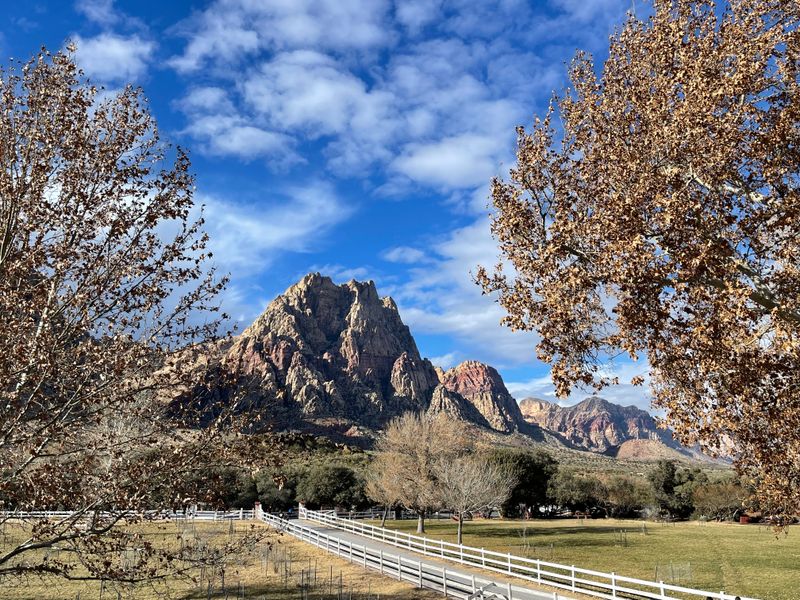 Spring Mountain Ranch State Park