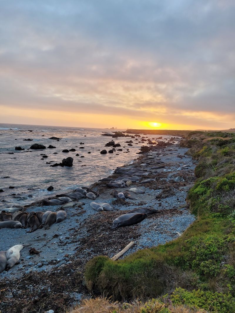 Cambria, California — Under-the-Radar Coastal Town