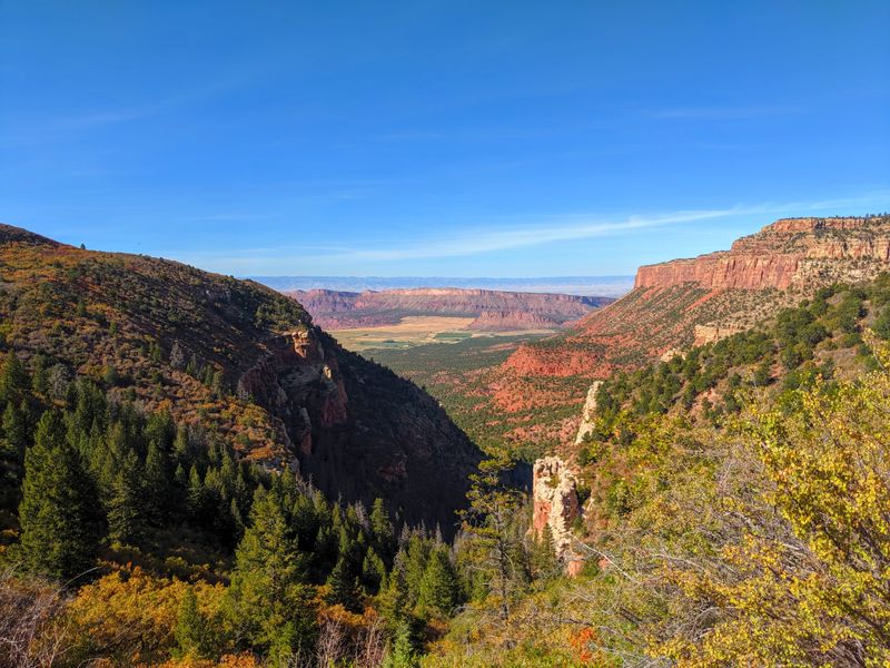 Manti-La Sal National Forest