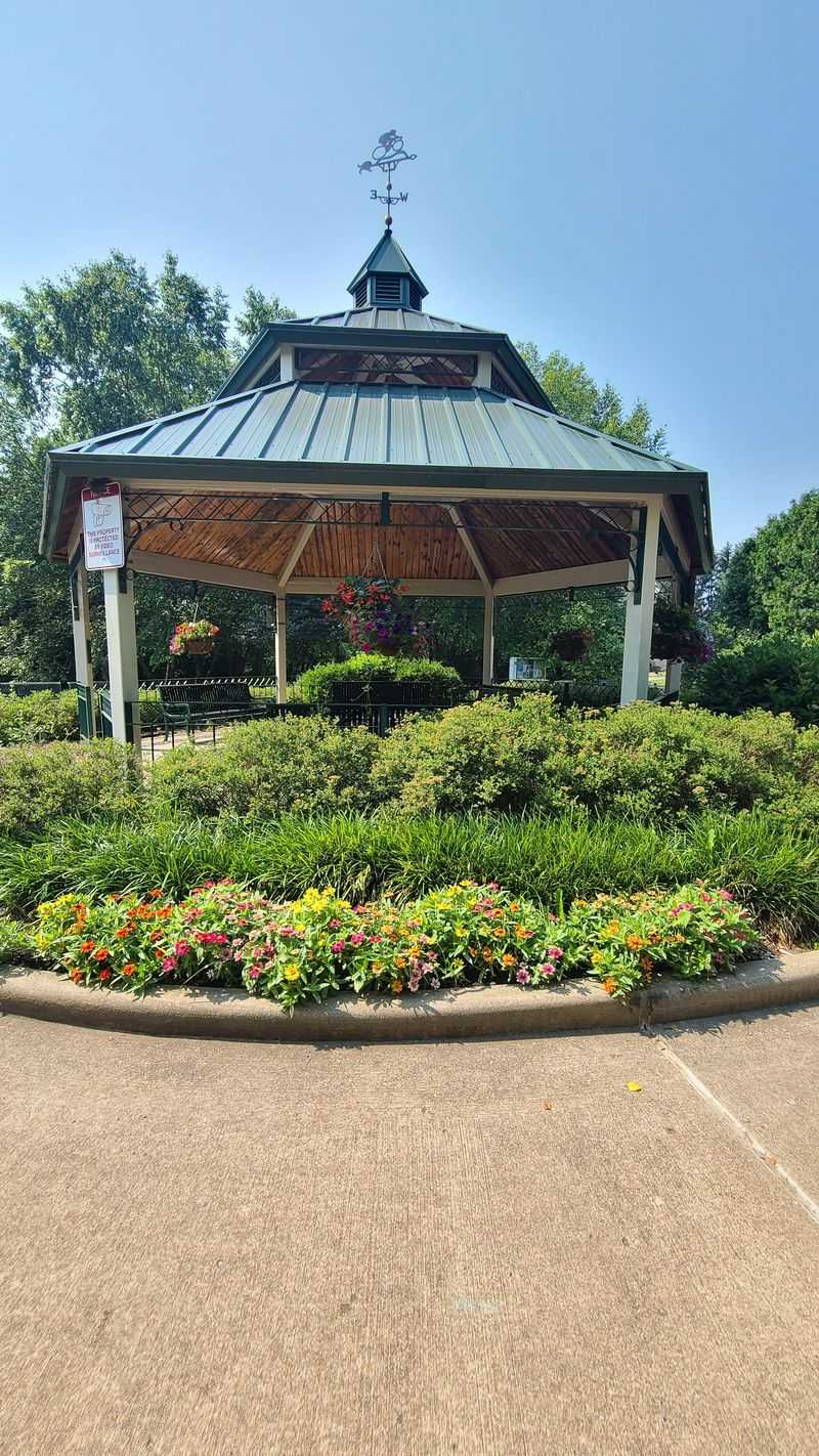 Friendly Community Culture