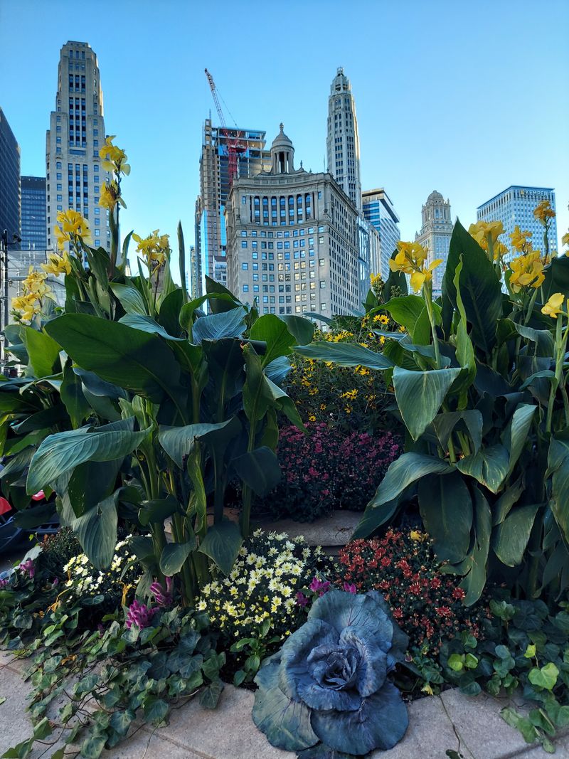 Quirky Local Gems and Culture