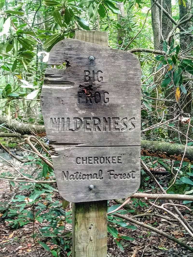 Leave No Trace in Frog Country