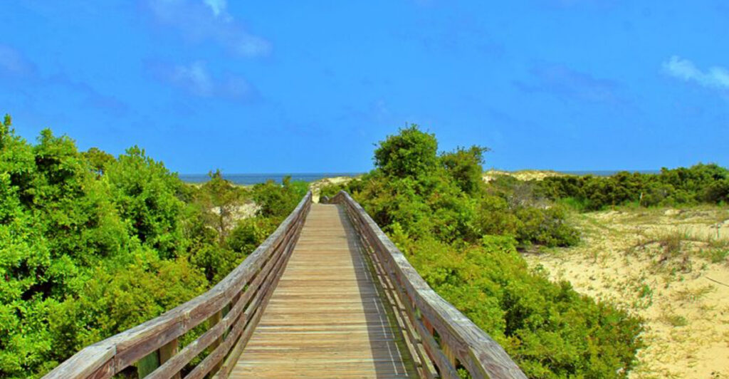 Untouched Beaches and Wildlife Await on Georgia’s Hidden Island