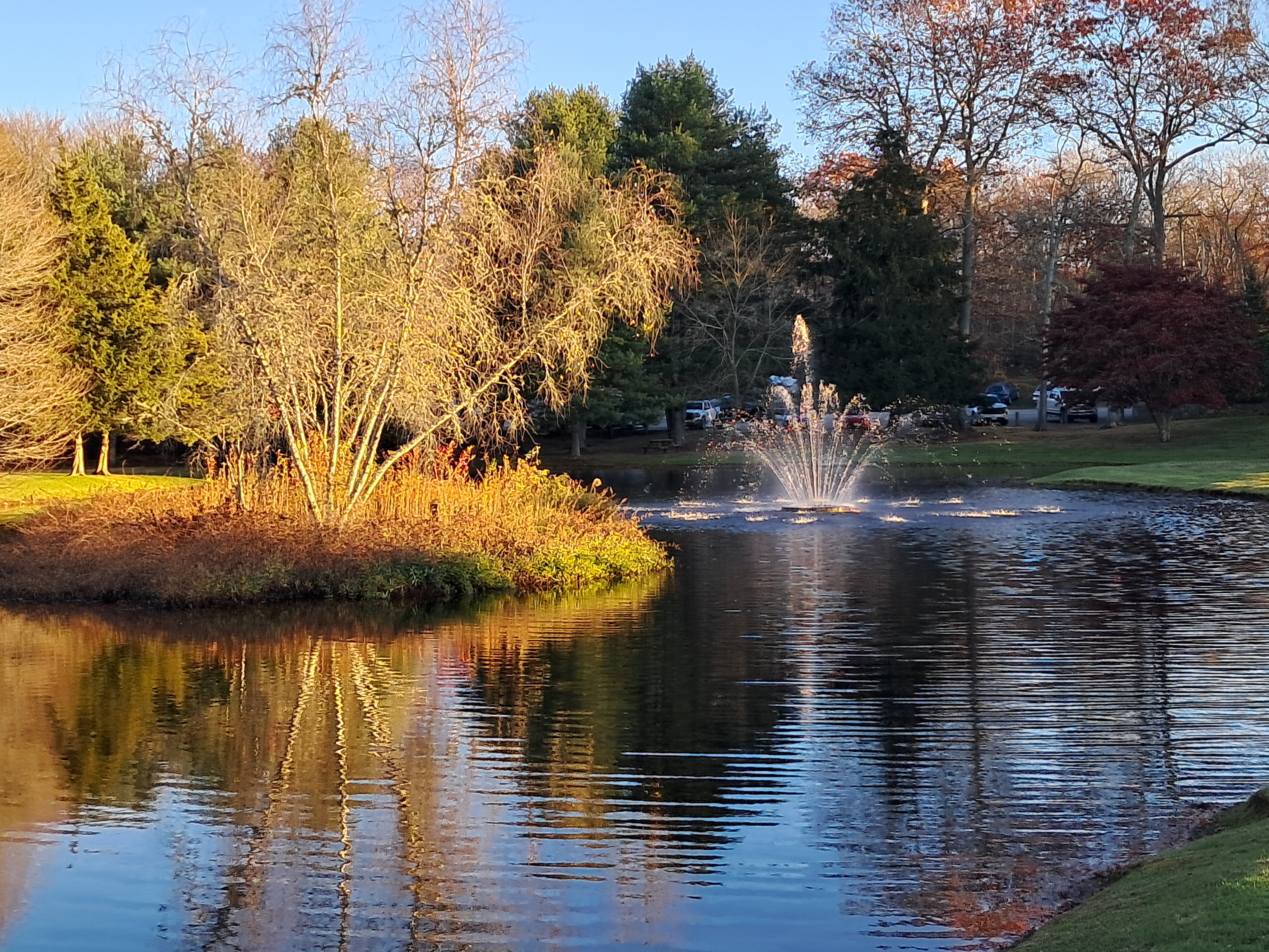 How to Maximize Your Visit