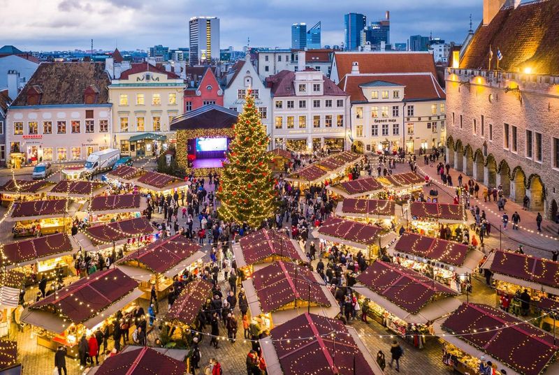 Tallinn, Estonia — Old Town Square Tree