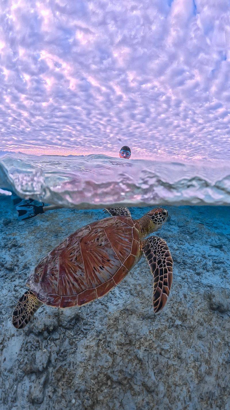 Gili Islands, Indonesia — Uncrowded Tropical Trio