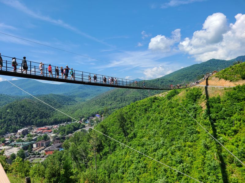 Cross the Record-Setting Gatlinburg SkyBridge (Gatlinburg)