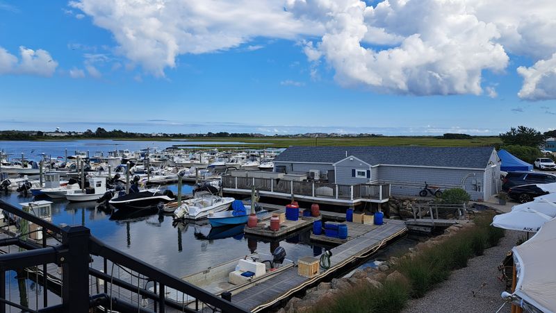 Sustainability and Farm Tours