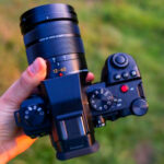 We Found 11 Cameras That Make Everyday Nature Shots Look Stunning