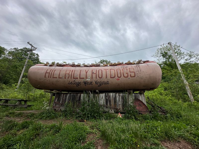 The Original Hillbilly Dog Experience