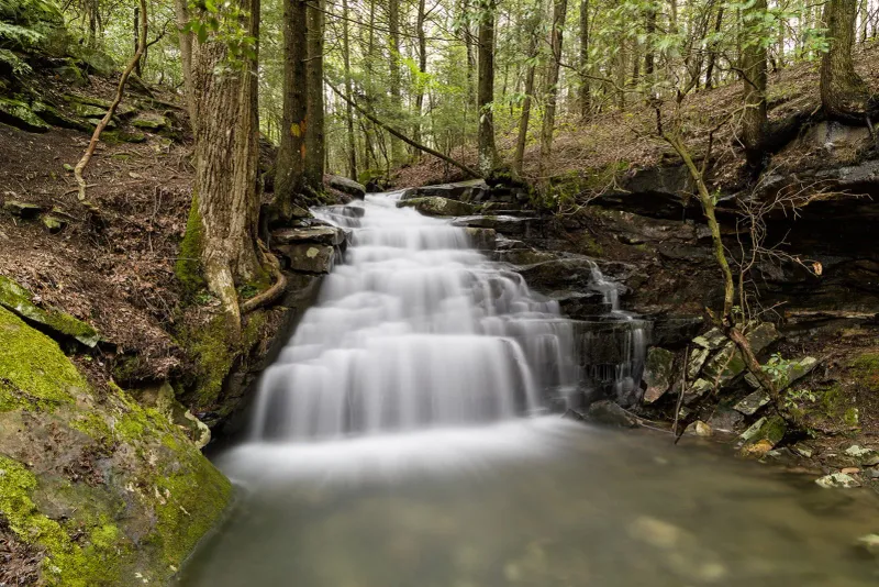 Additional Changes & Resident-Only Perks