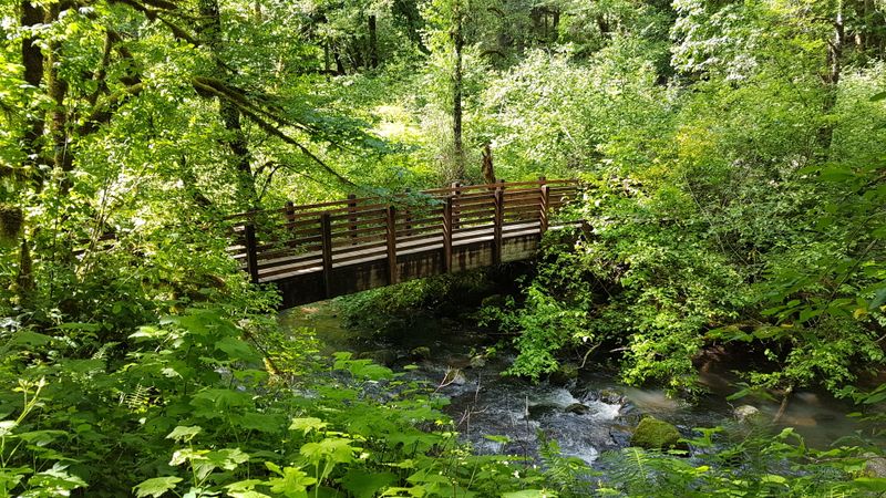 Safety and Trail Etiquette