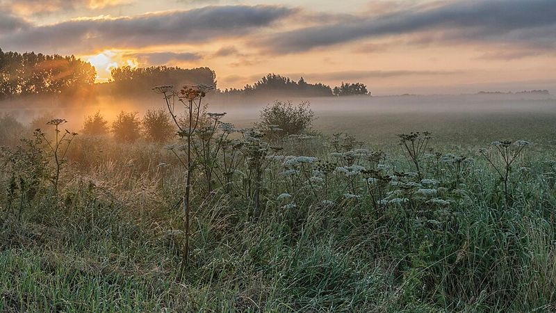 Nuclear Facilities Under Watch