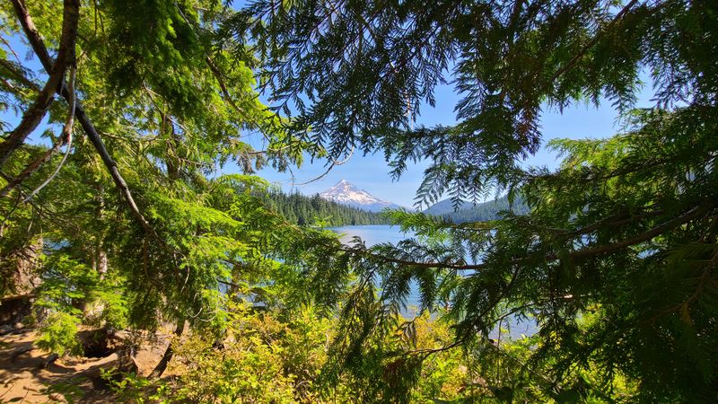 Why Disappearing Helps Nature