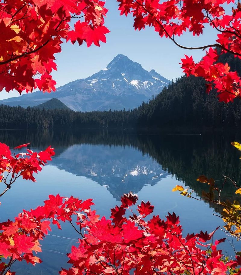 Please Do Not Plug It