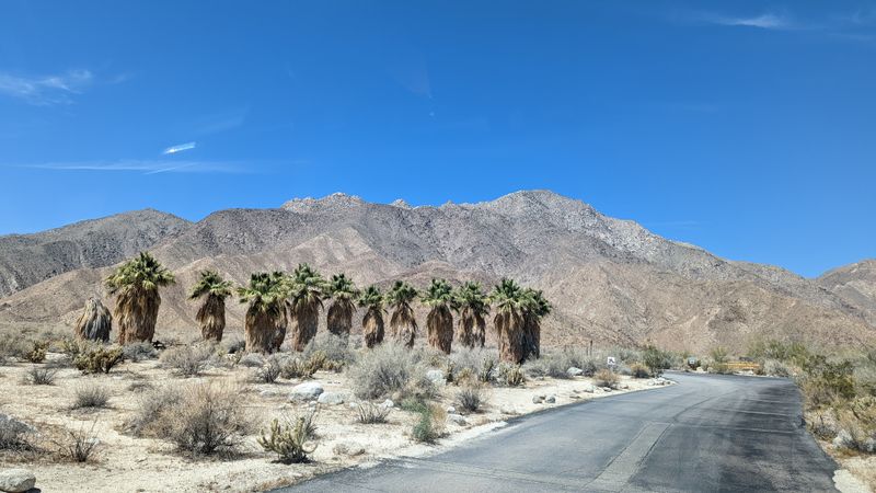 Surrounded by a State Park, Not Strip Malls