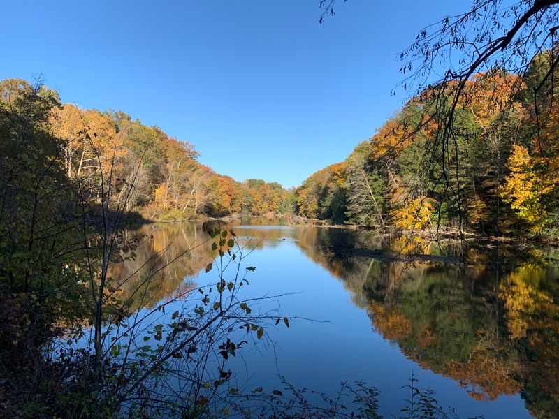 Lake Cohasset Shoreline Meander