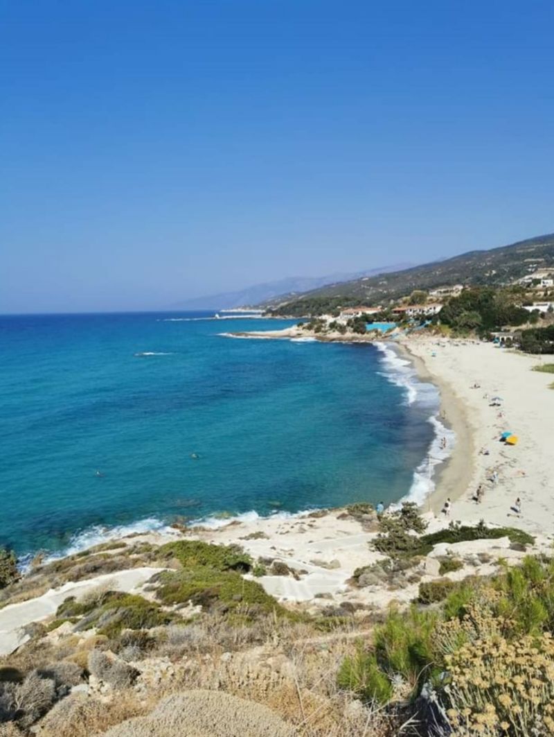 They Drink Herbal Teas Daily