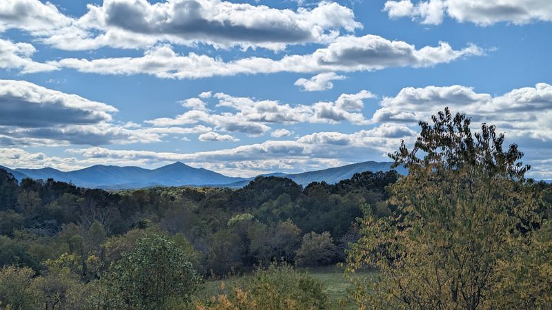Woodland Yoga Retreat