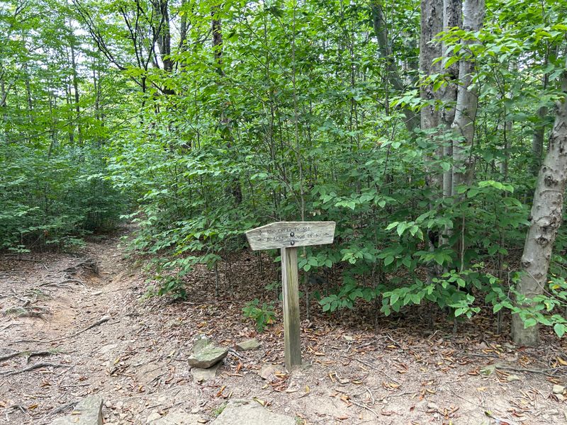 Trails That Wander Through Time