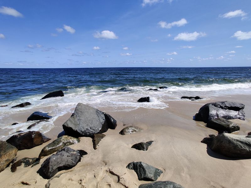 Multiple Units - Variety in One Park