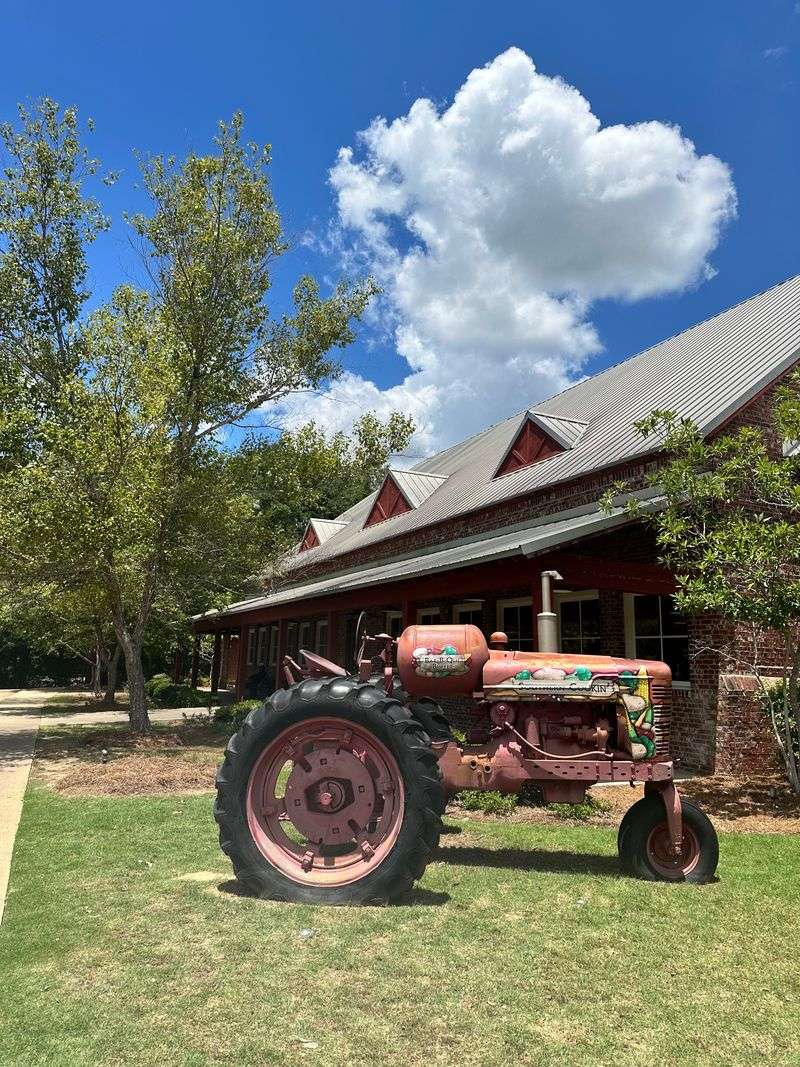 Mama Hamil's Southern Cookin' & Bar B Que Buffet – Madison, Mississippi