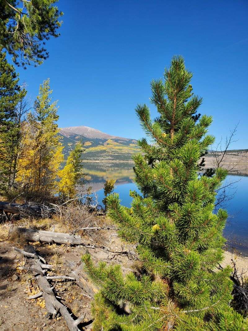 Evening at the Dam Overlook