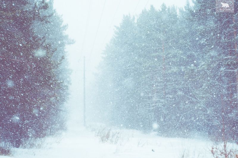 Major Winter Storm Threatens Holiday Travel Across the Midwest and Northeast