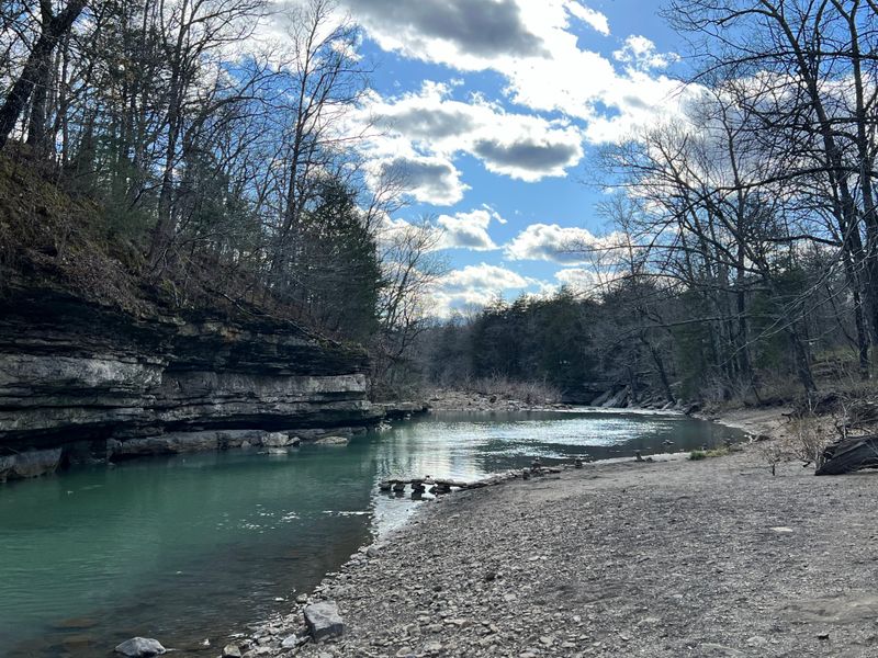 Woody Plant Diversity Loop