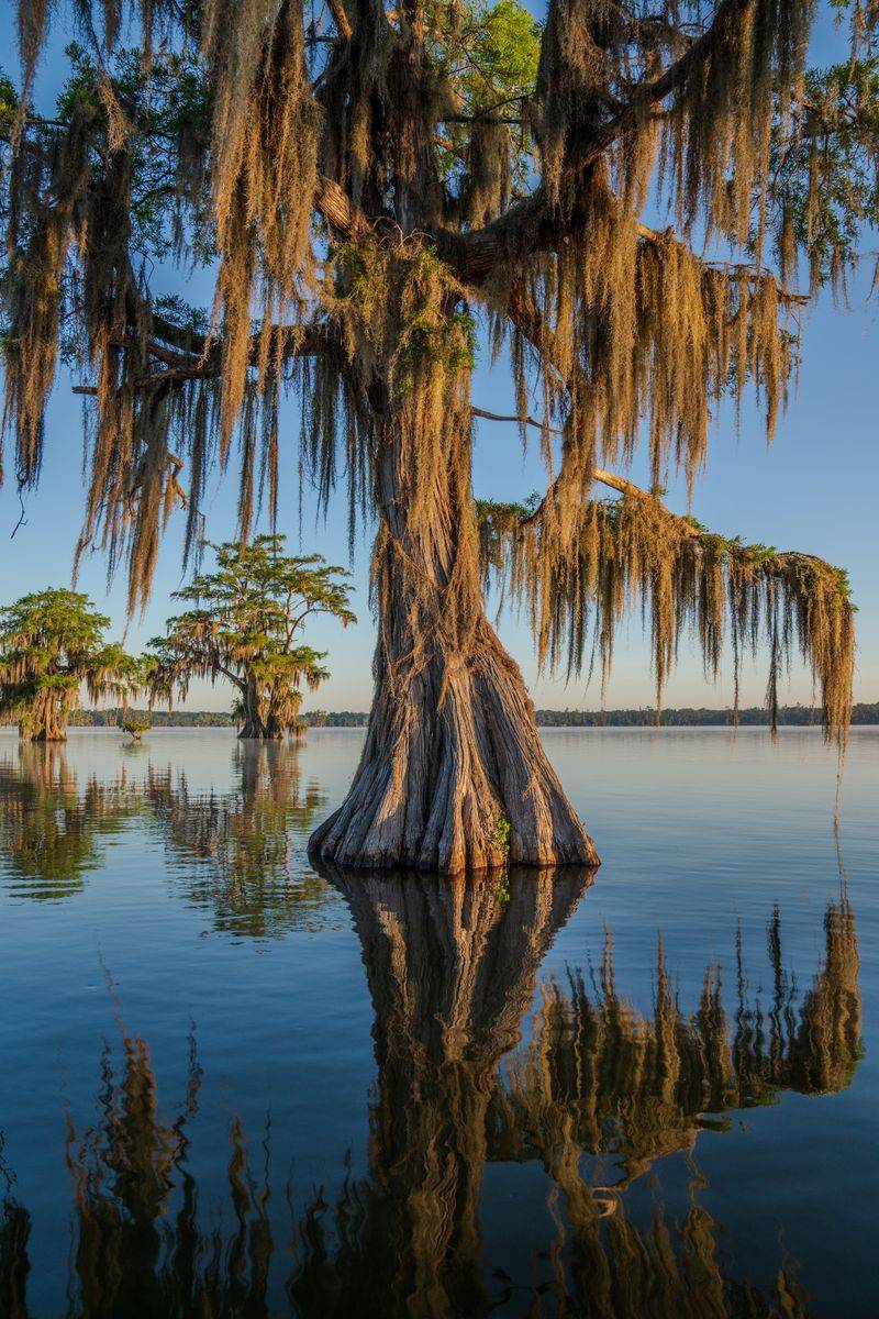 Lake Martin, Louisiana