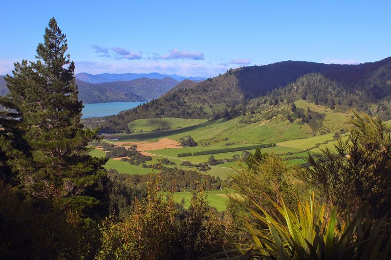 Queen Charlotte Track — New Zealand