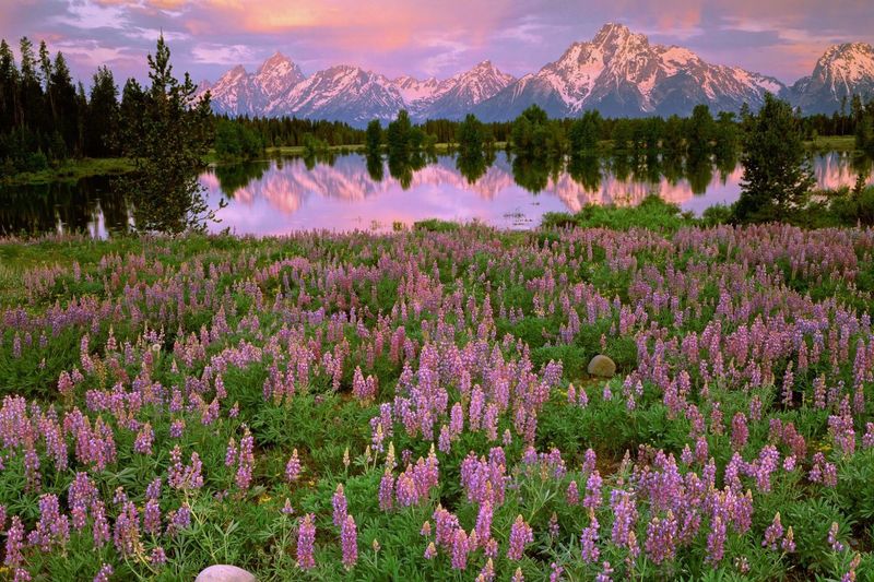 Grand Teton National Park, USA