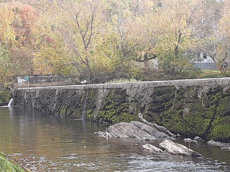 2. Traffic Is Minimal by Design