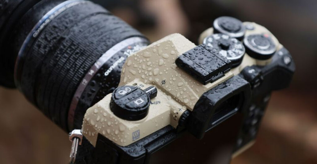 10 Cameras Ideal for Forest and Mountain Photography in 2026