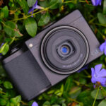 10 Cameras That Make Foggy Forests Look Magical