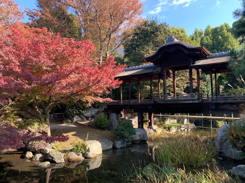 Kyoto, Japan — A Year-Round Celebration of Heritage