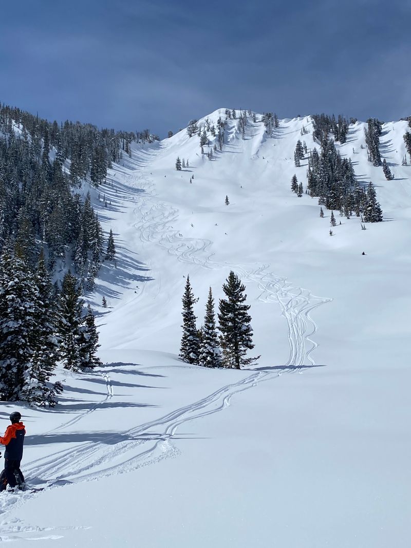 11. Case Study: One Perfect Window