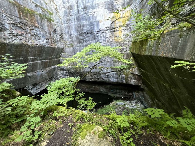 Freedley Quarry — Dorset