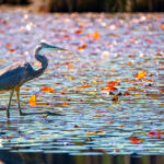 11 Natural Wonders and Outdoor Escapes to Explore in Vermont