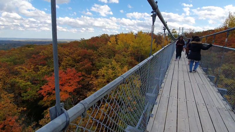 Canada — Wilderness Walks, Wildlife Watching & Easy Hikes