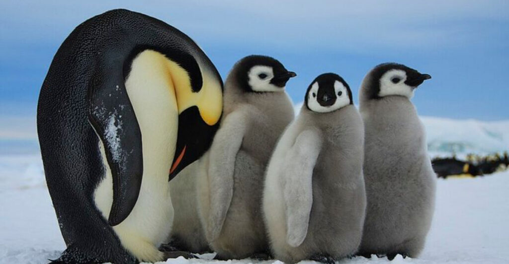 15 Bucket-List Wildlife Trips That Prioritize Animal Welfare