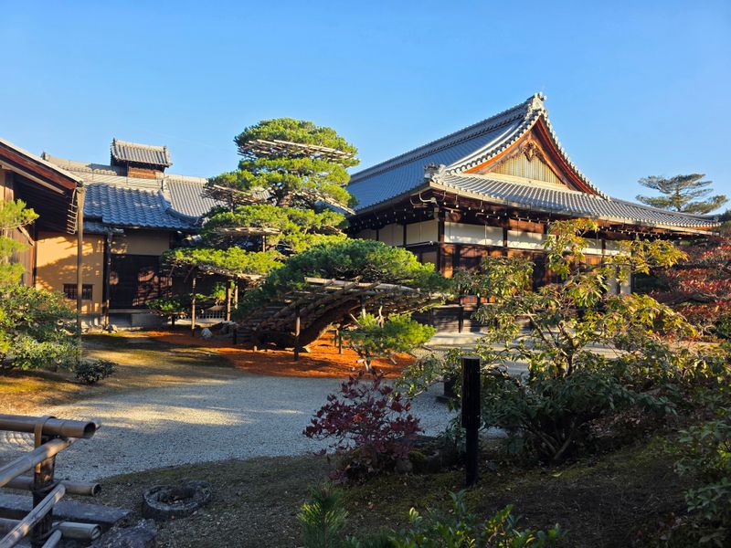 Japan — Harmony of Tradition and Modernity