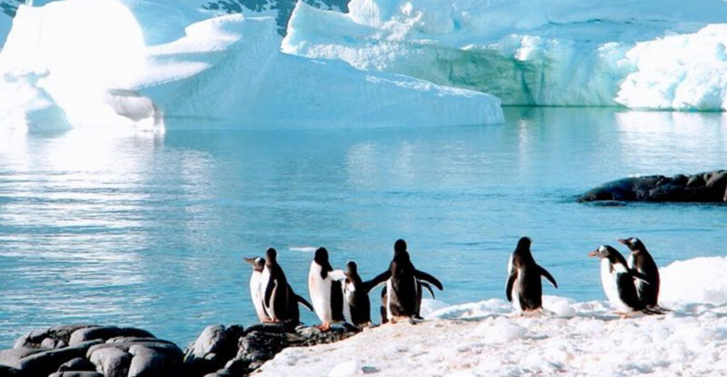 15 Family Expedition Cruises That Turn Kids Into Explorers