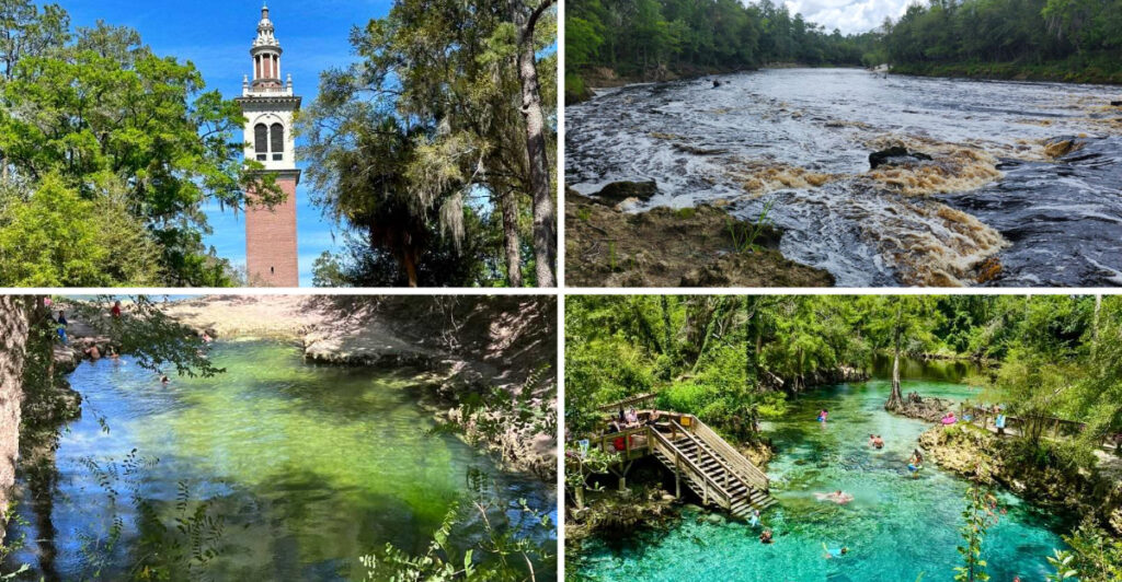 15 Parks and Natural Areas Near Jacksonville – Tallahassee You Must Explore for Hiking, Rivers & Nature