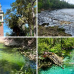 15 Parks and Natural Areas Near Jacksonville – Tallahassee You Must Explore for Hiking, Rivers & Nature